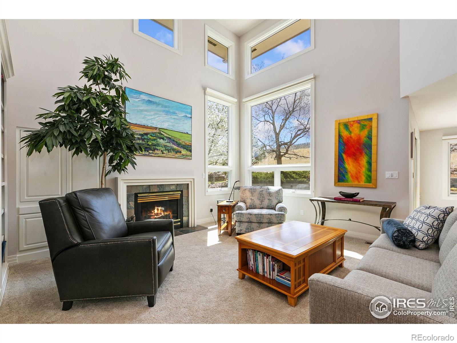 MLS Image #12 for 2943  skimmerhorn street,fort collins, Colorado