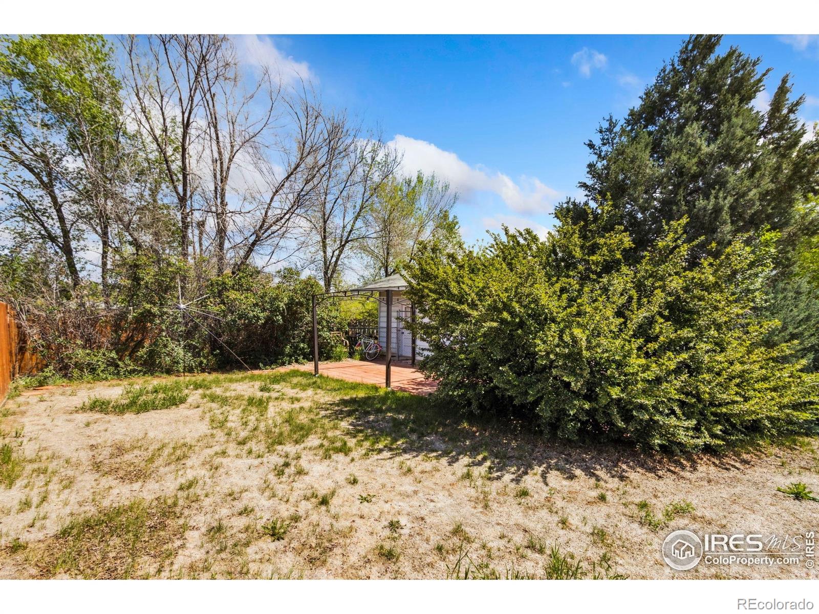 MLS Image #19 for 928 w lake street,fort collins, Colorado