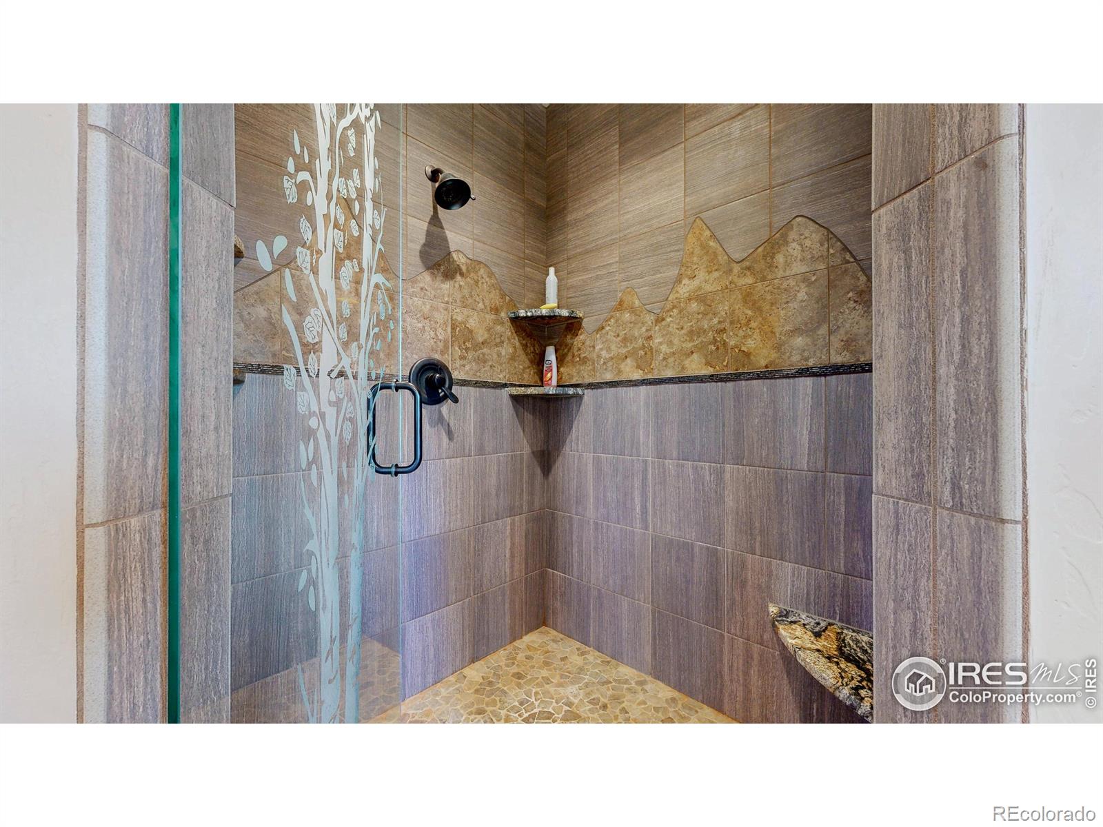 MLS Image #11 for 1049  pine knoll drive,estes park, Colorado