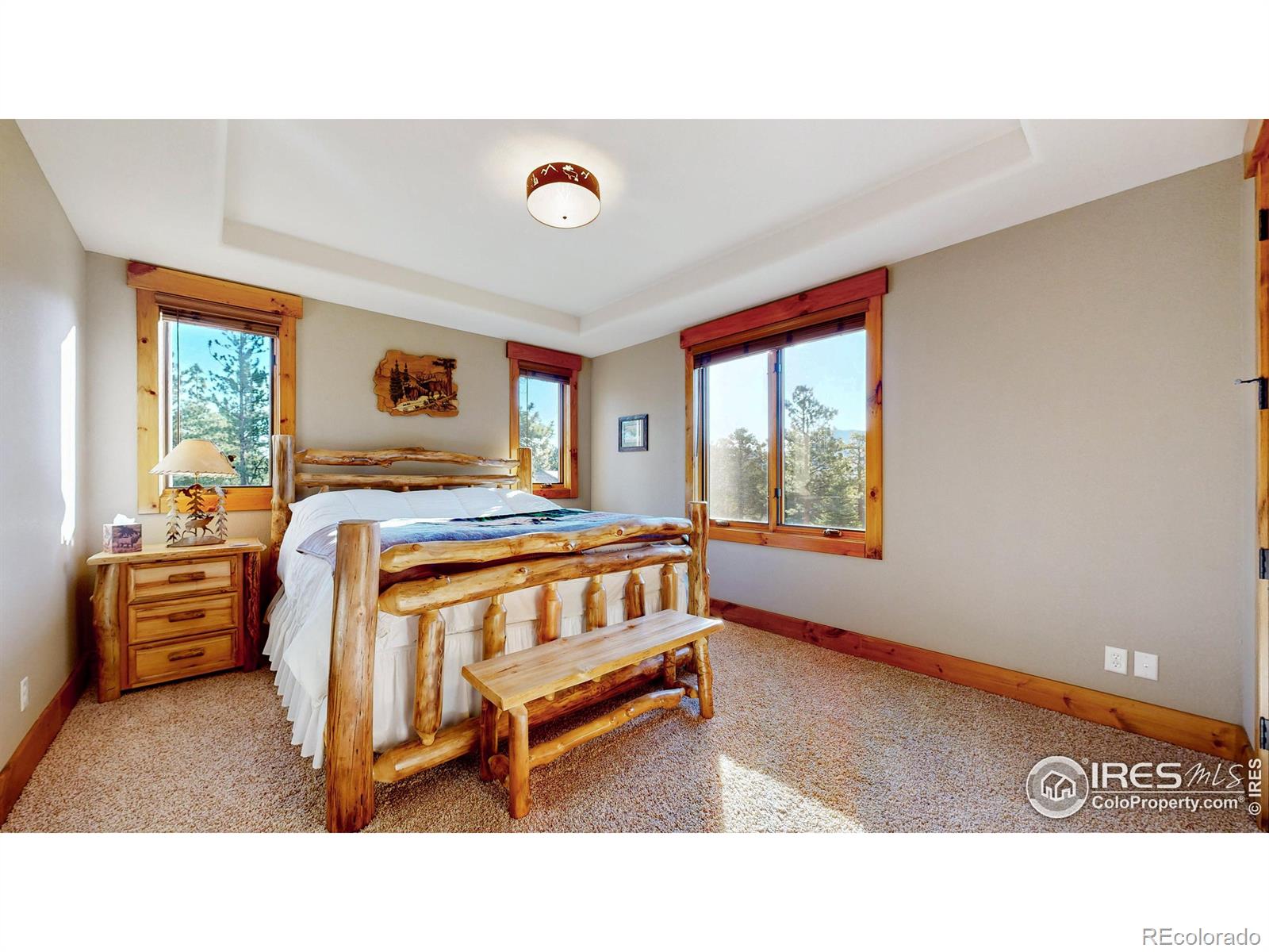 MLS Image #23 for 1049  pine knoll drive,estes park, Colorado