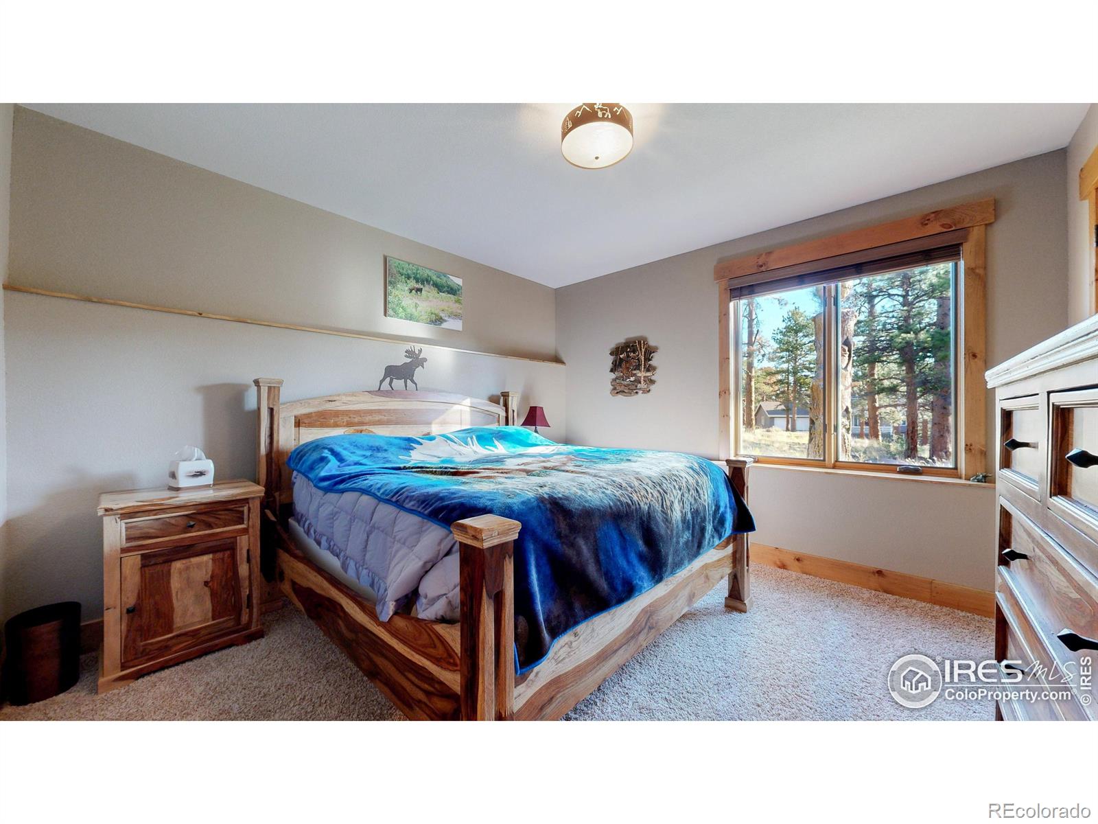 MLS Image #24 for 1049  pine knoll drive,estes park, Colorado
