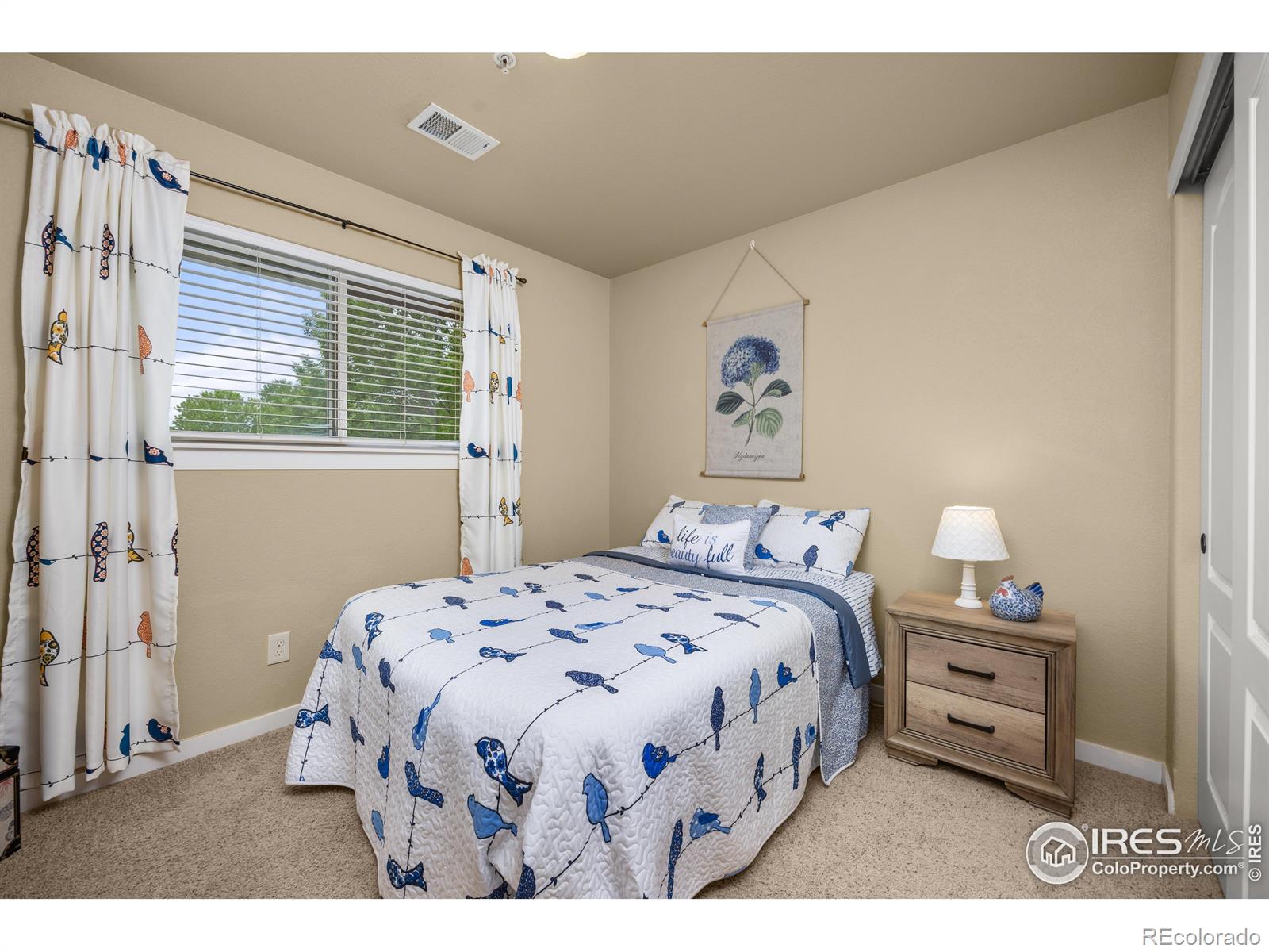 MLS Image #15 for 255  carina circle,loveland, Colorado
