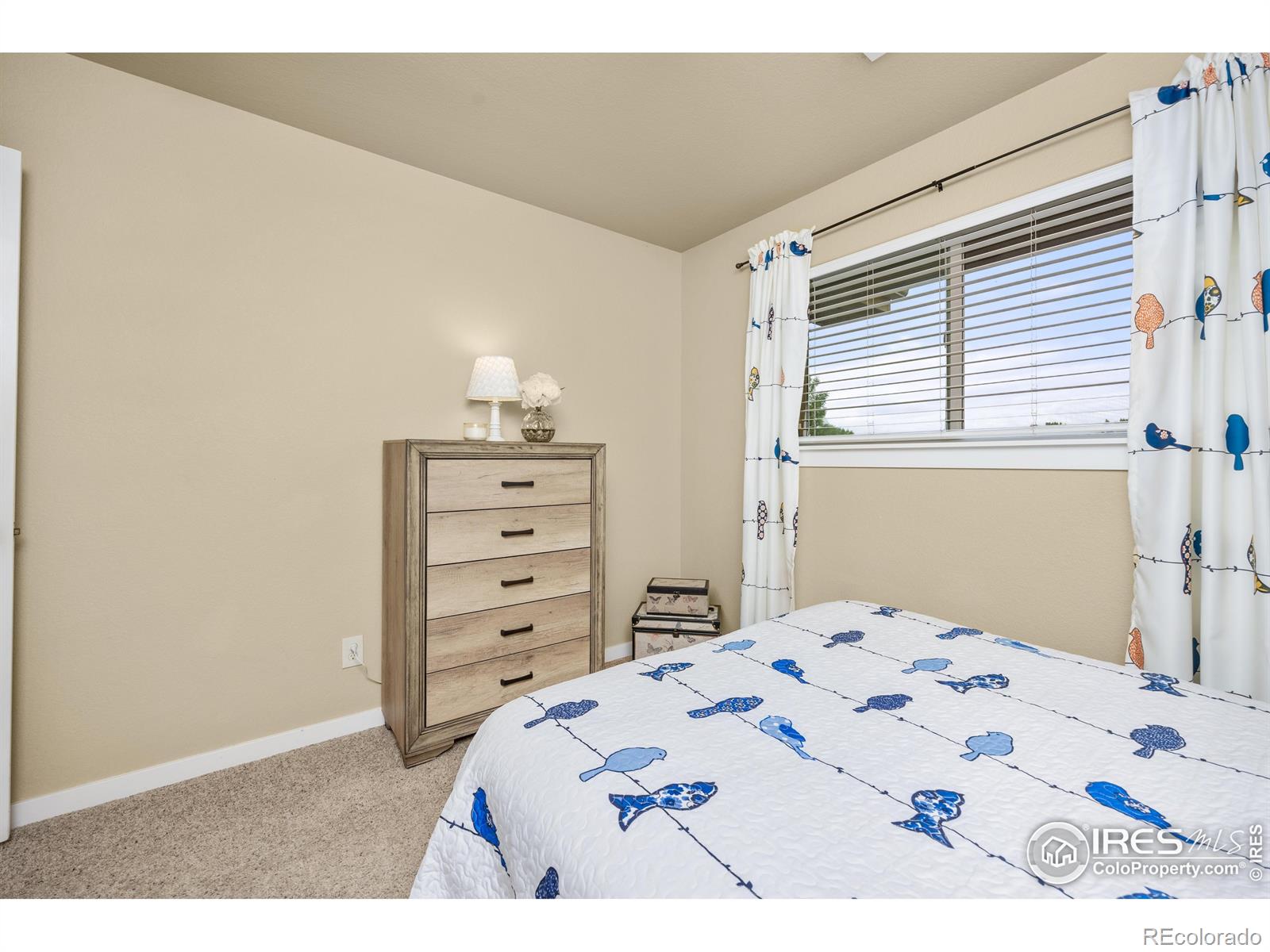 MLS Image #16 for 255  carina circle,loveland, Colorado