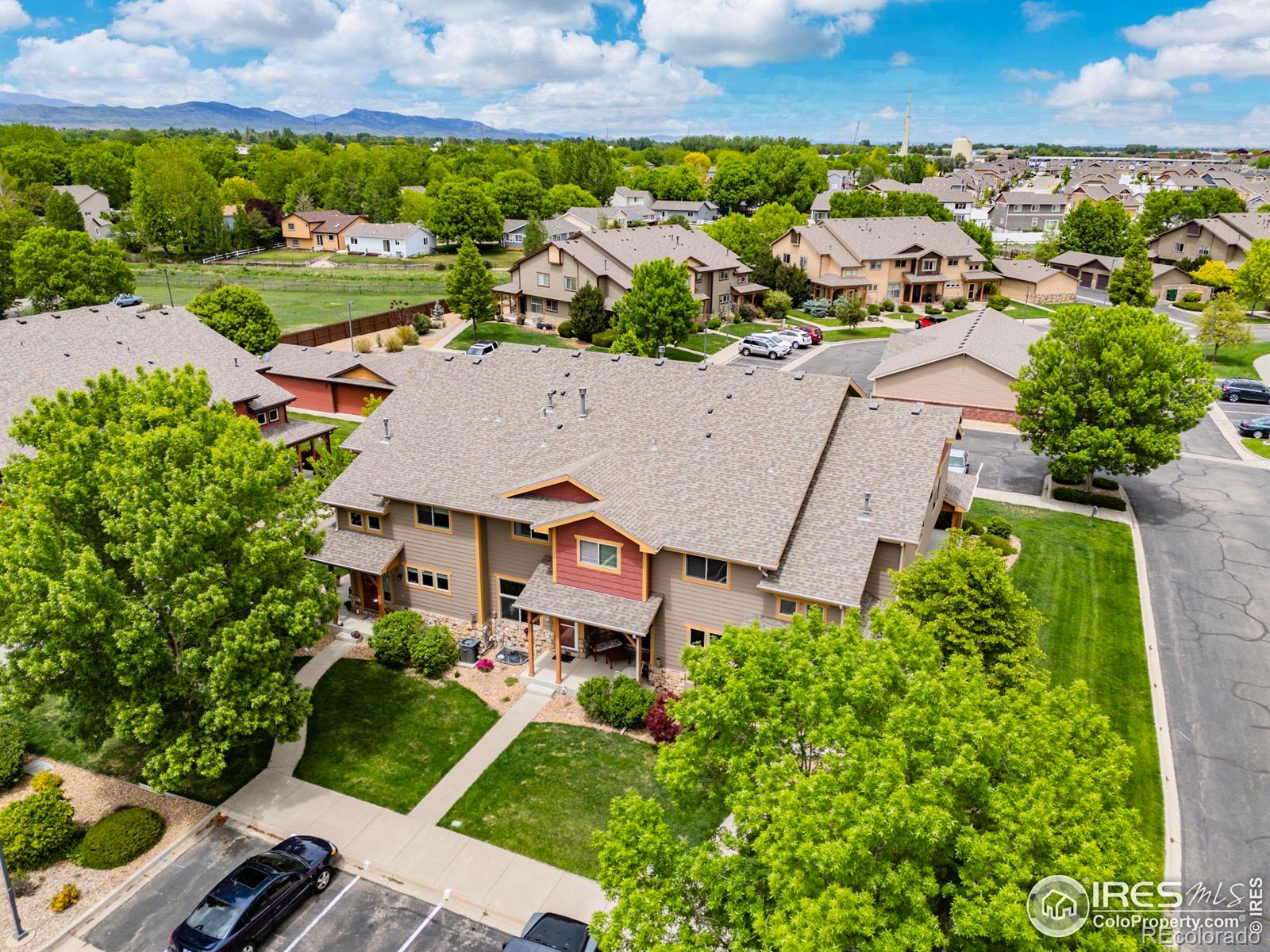MLS Image #5 for 255  carina circle,loveland, Colorado