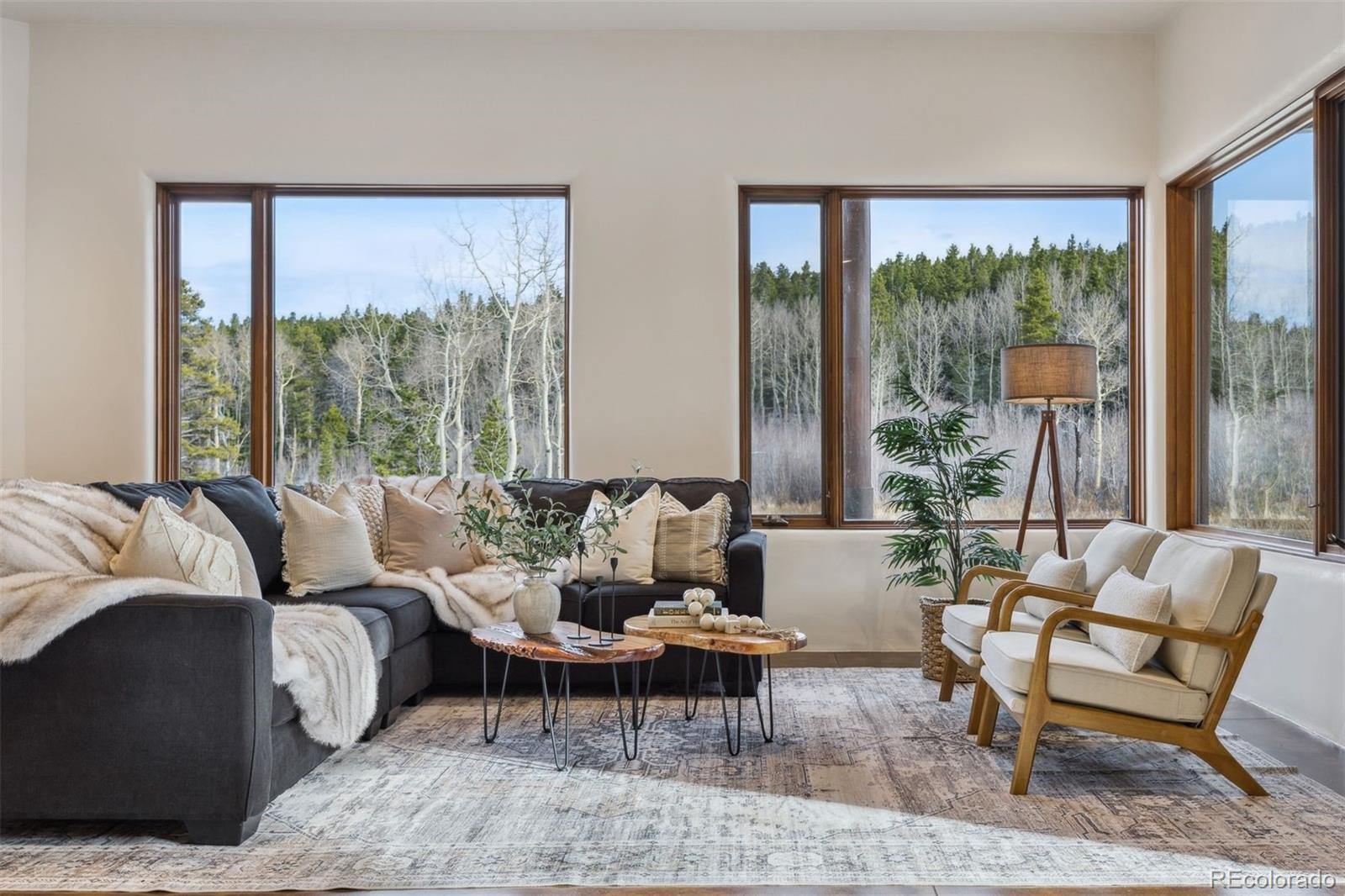 MLS Image #12 for 1460  karlann drive,black hawk, Colorado