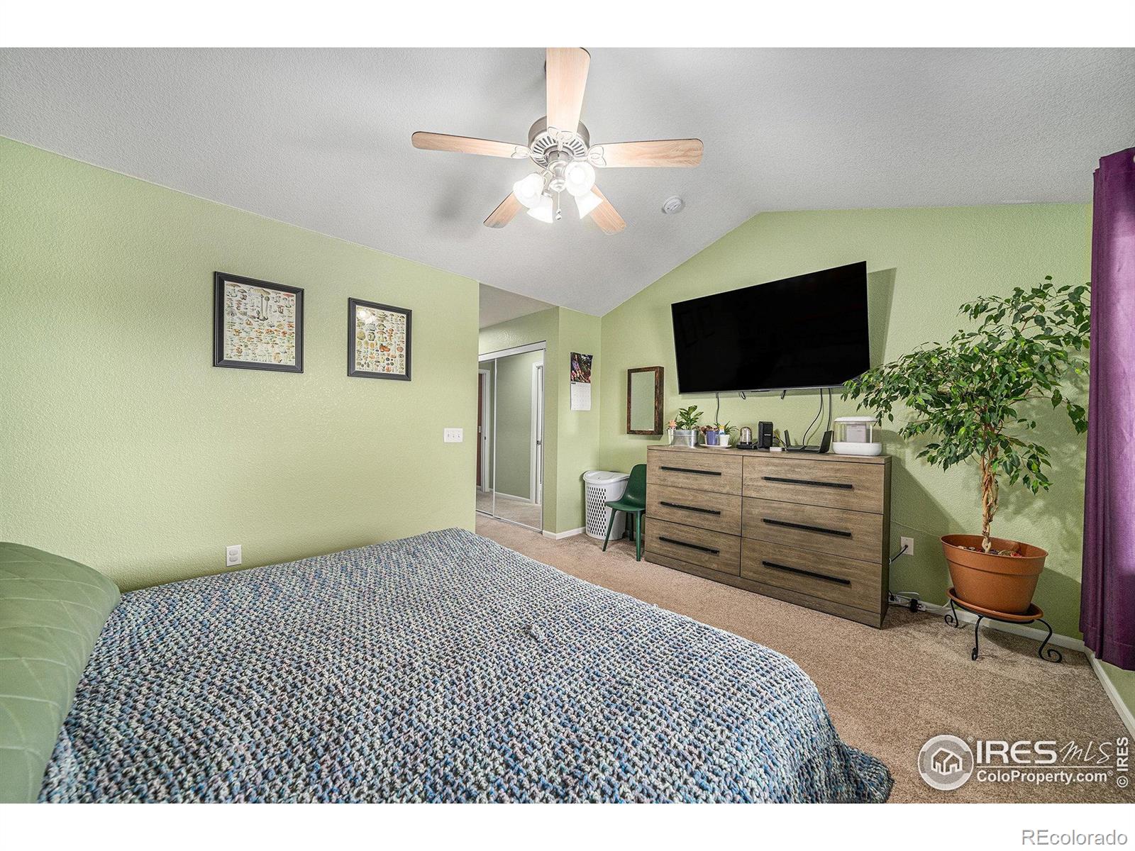 MLS Image #10 for 10818  cimarron street,firestone, Colorado