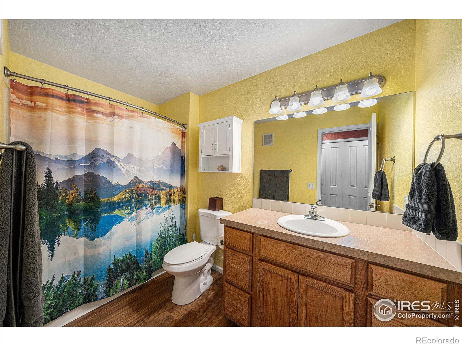MLS Image #13 for 10818  cimarron street,firestone, Colorado