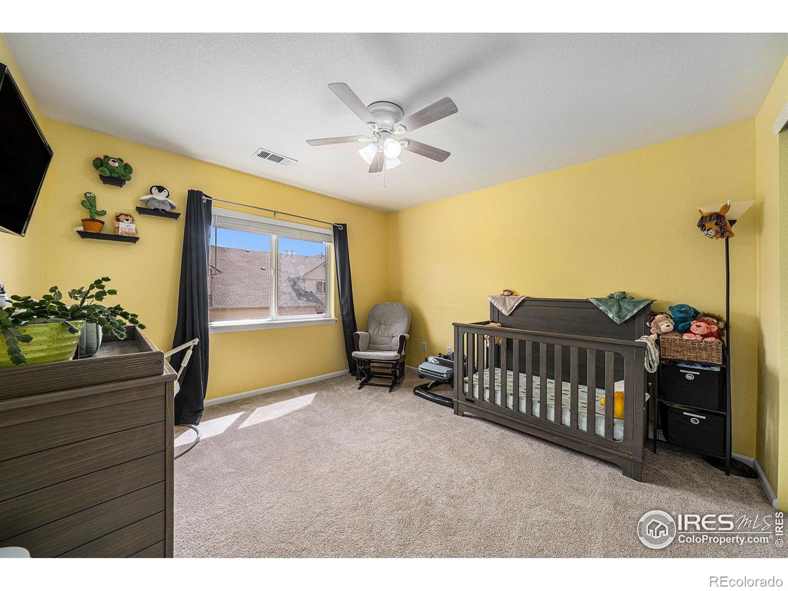 MLS Image #18 for 10818  cimarron street,firestone, Colorado