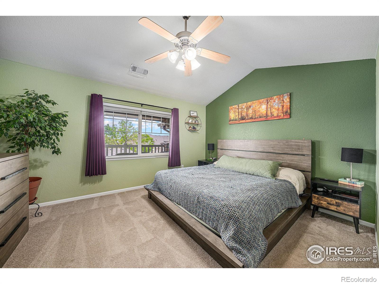 MLS Image #9 for 10818  cimarron street,firestone, Colorado