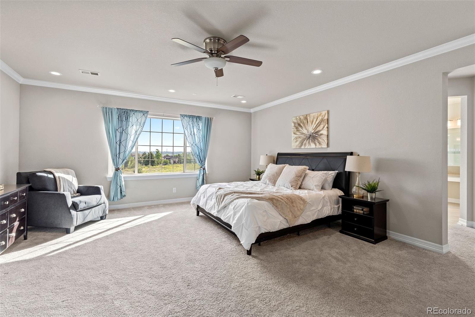 MLS Image #20 for 11522  trona court,parker, Colorado