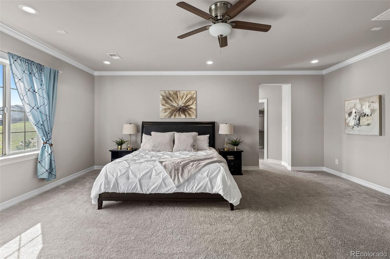 MLS Image #21 for 11522  trona court,parker, Colorado