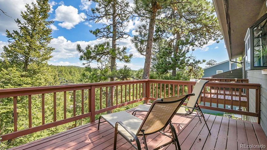 MLS Image #18 for 30273  conifer road,evergreen, Colorado