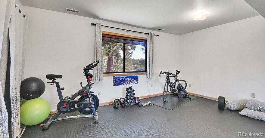 MLS Image #22 for 30273  conifer road,evergreen, Colorado