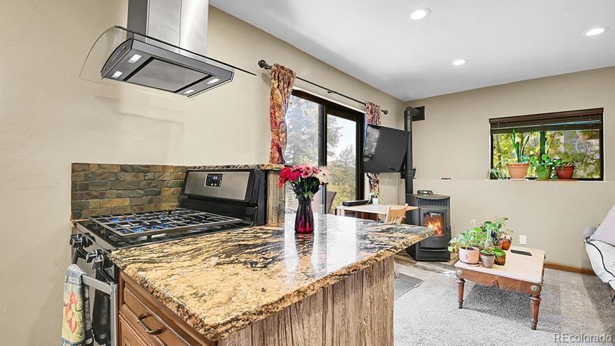 MLS Image #29 for 30273  conifer road,evergreen, Colorado