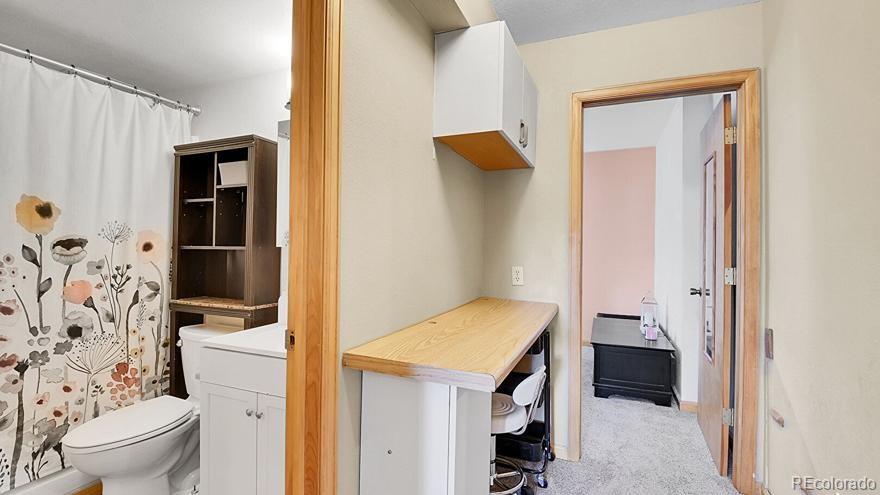 MLS Image #31 for 30273  conifer road,evergreen, Colorado