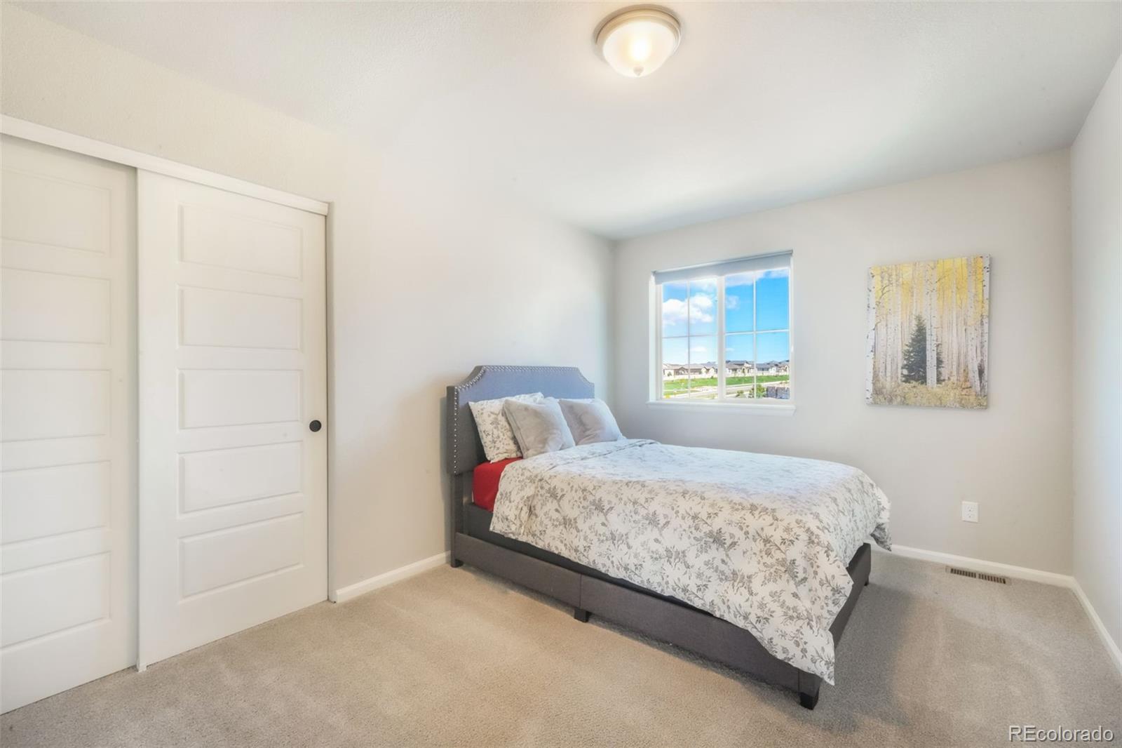 MLS Image #20 for 9521  sideoats court,colorado springs, Colorado