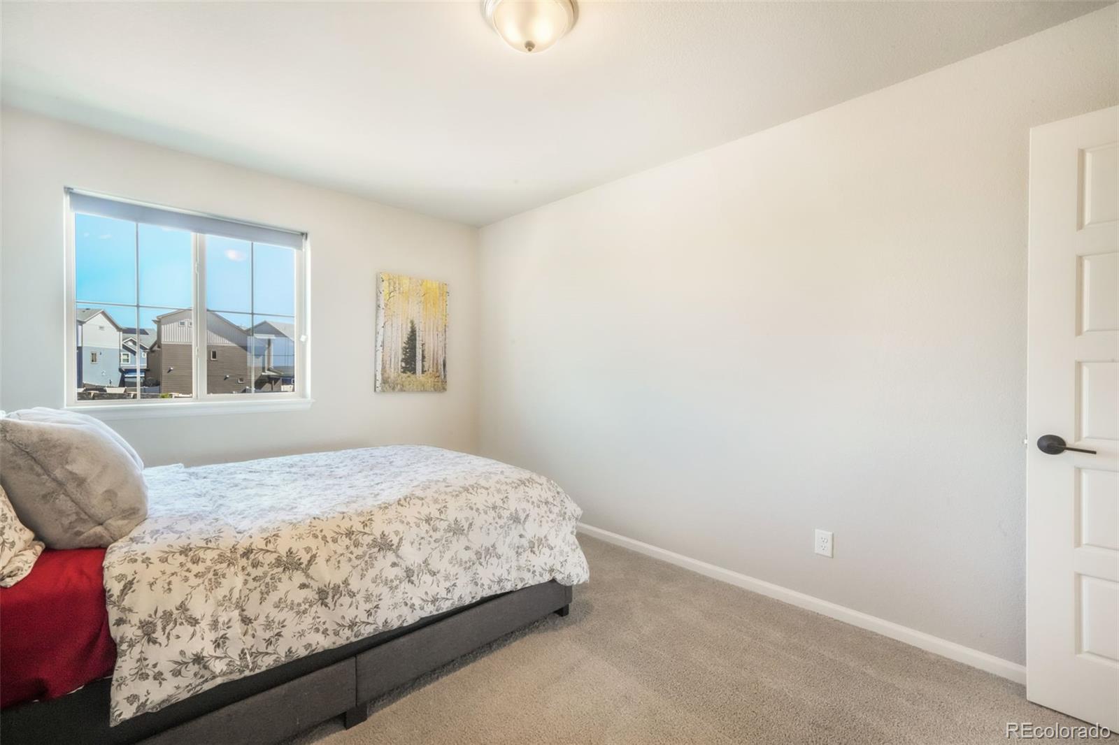 MLS Image #22 for 9521  sideoats court,colorado springs, Colorado