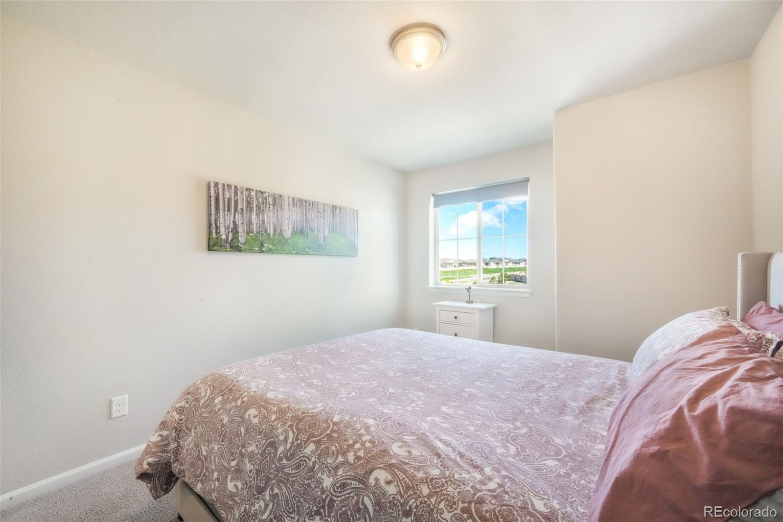 MLS Image #25 for 9521  sideoats court,colorado springs, Colorado