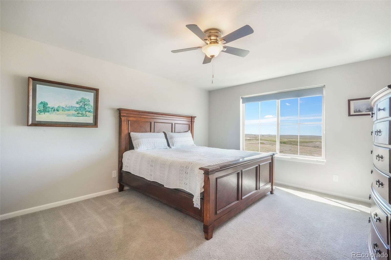 MLS Image #28 for 9521  sideoats court,colorado springs, Colorado