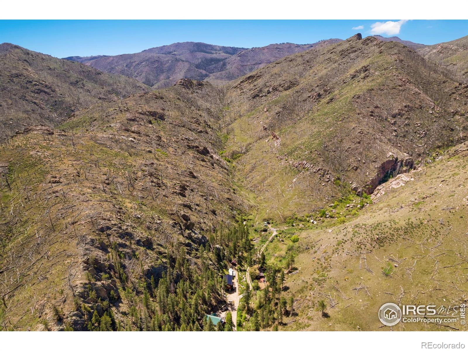 MLS Image #3 for 200  falls creek drive,bellvue, Colorado