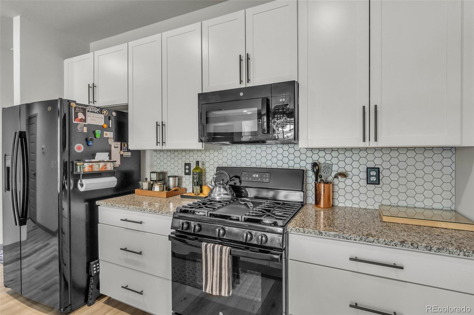MLS Image #10 for 4021 s teller street,lakewood, Colorado