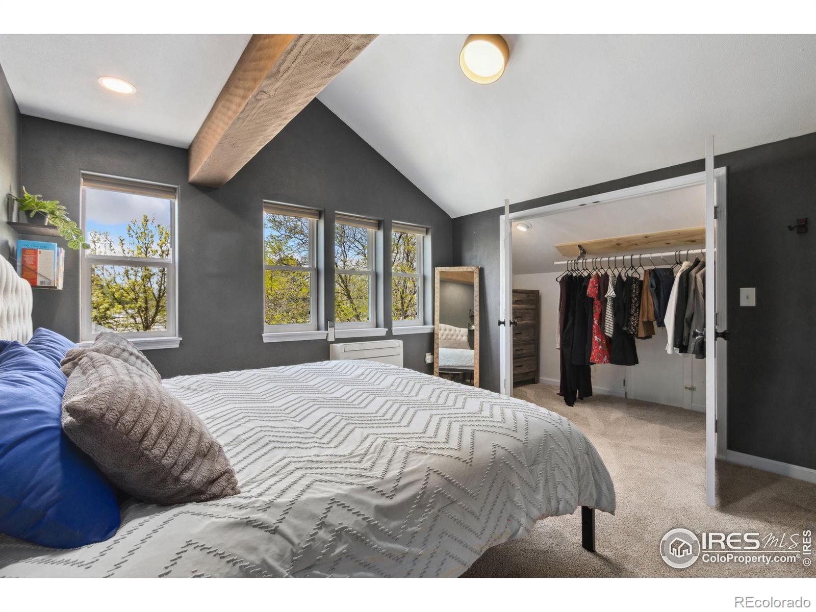 MLS Image #15 for 5003  rose court,fort collins, Colorado