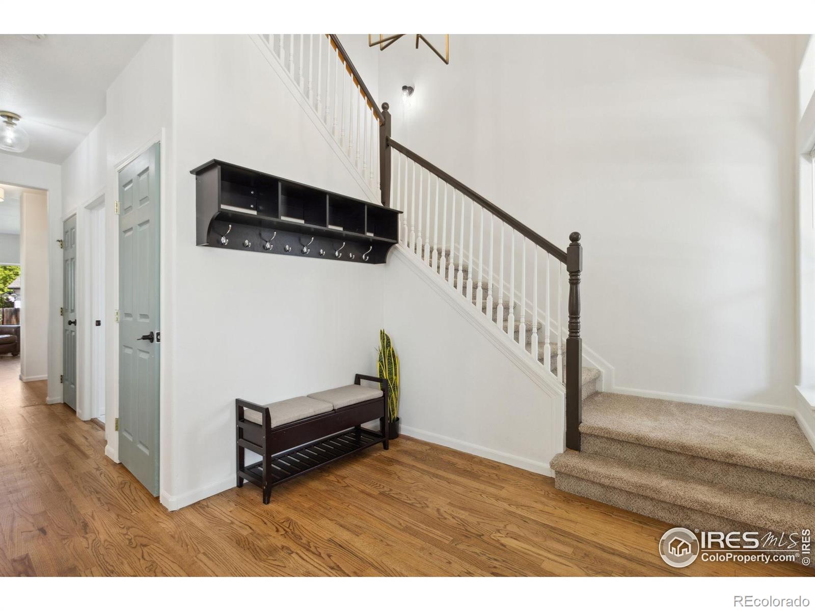 MLS Image #4 for 5003  rose court,fort collins, Colorado