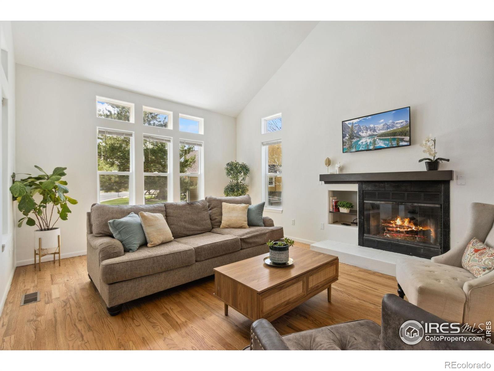 MLS Image #5 for 5003  rose court,fort collins, Colorado