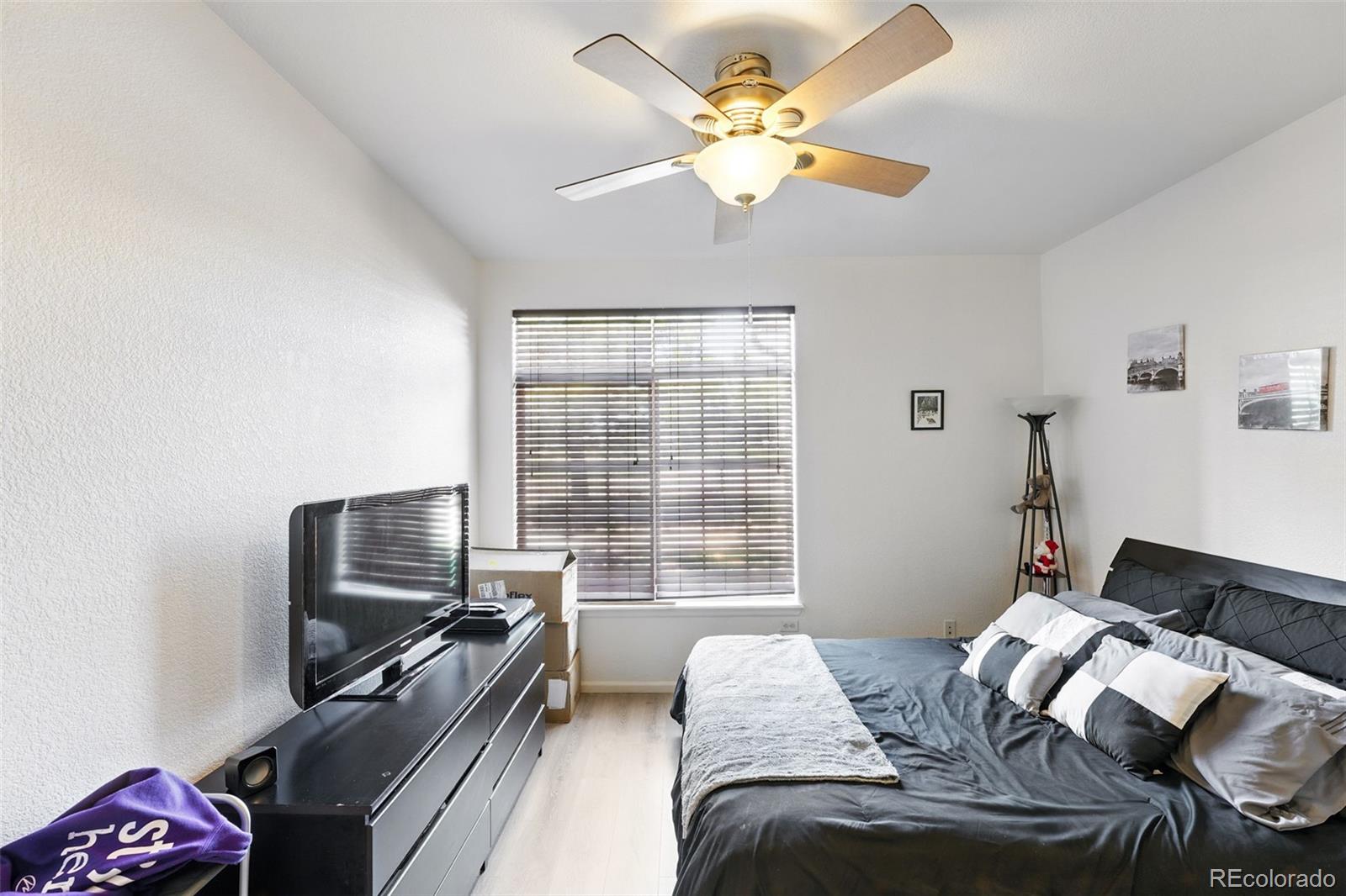 MLS Image #15 for 494  black feather loop,castle rock, Colorado