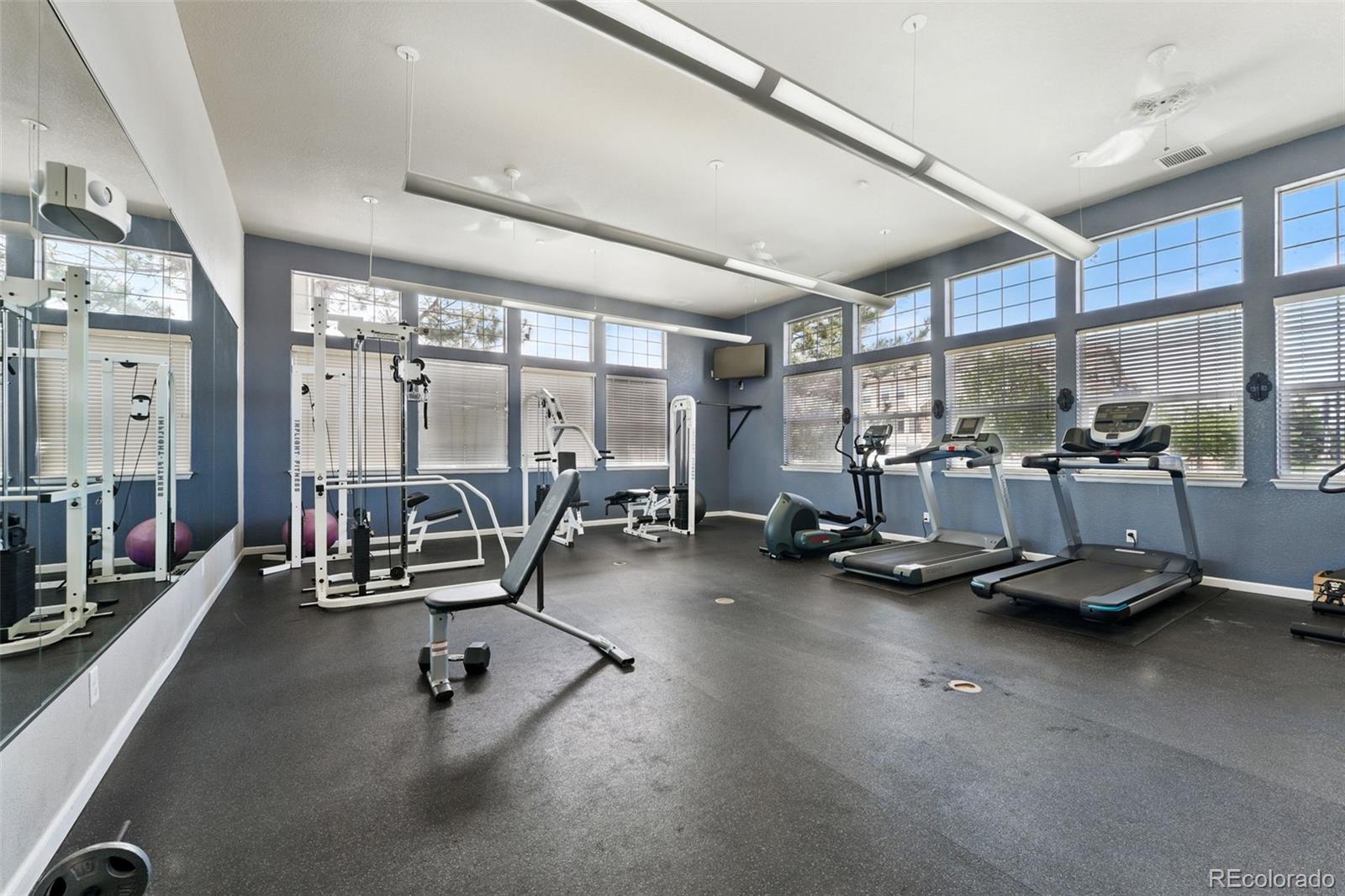MLS Image #28 for 494  black feather loop,castle rock, Colorado