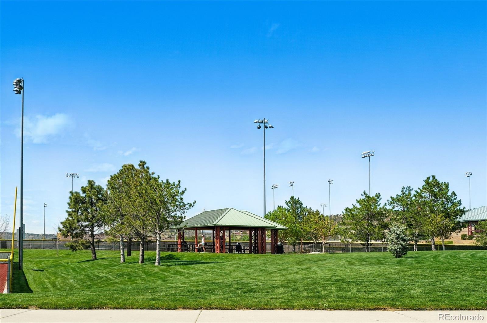 MLS Image #37 for 494  black feather loop,castle rock, Colorado