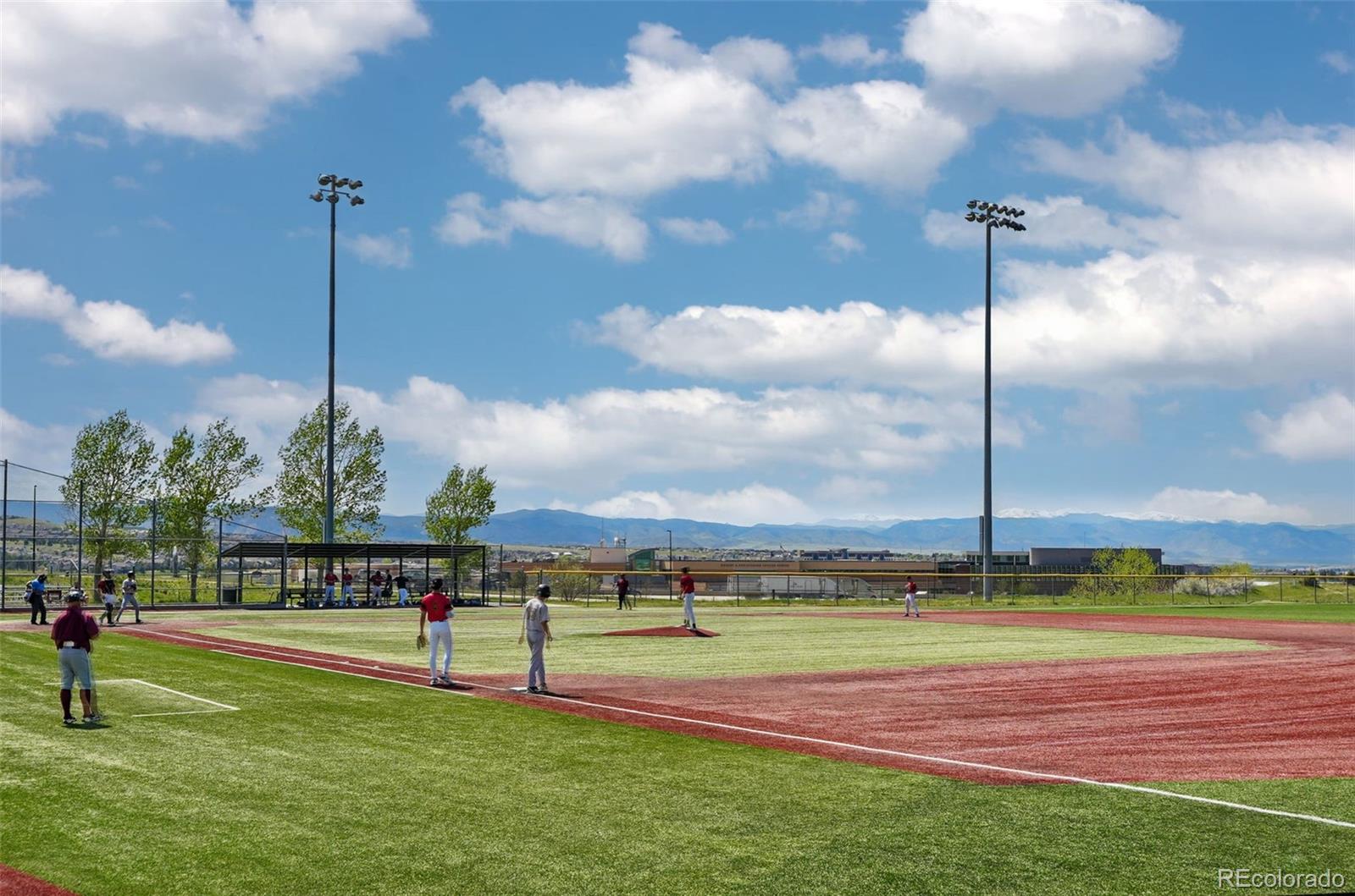 MLS Image #38 for 494  black feather loop,castle rock, Colorado