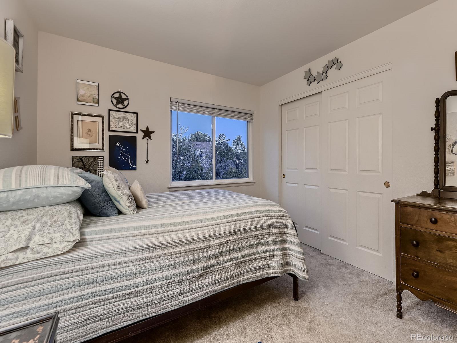 MLS Image #19 for 2010  saddleback drive,castle rock, Colorado