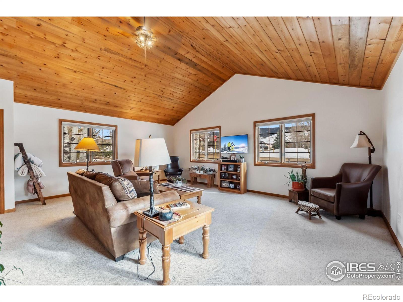 MLS Image #12 for 353 e byers avenue,hot sulphur springs, Colorado