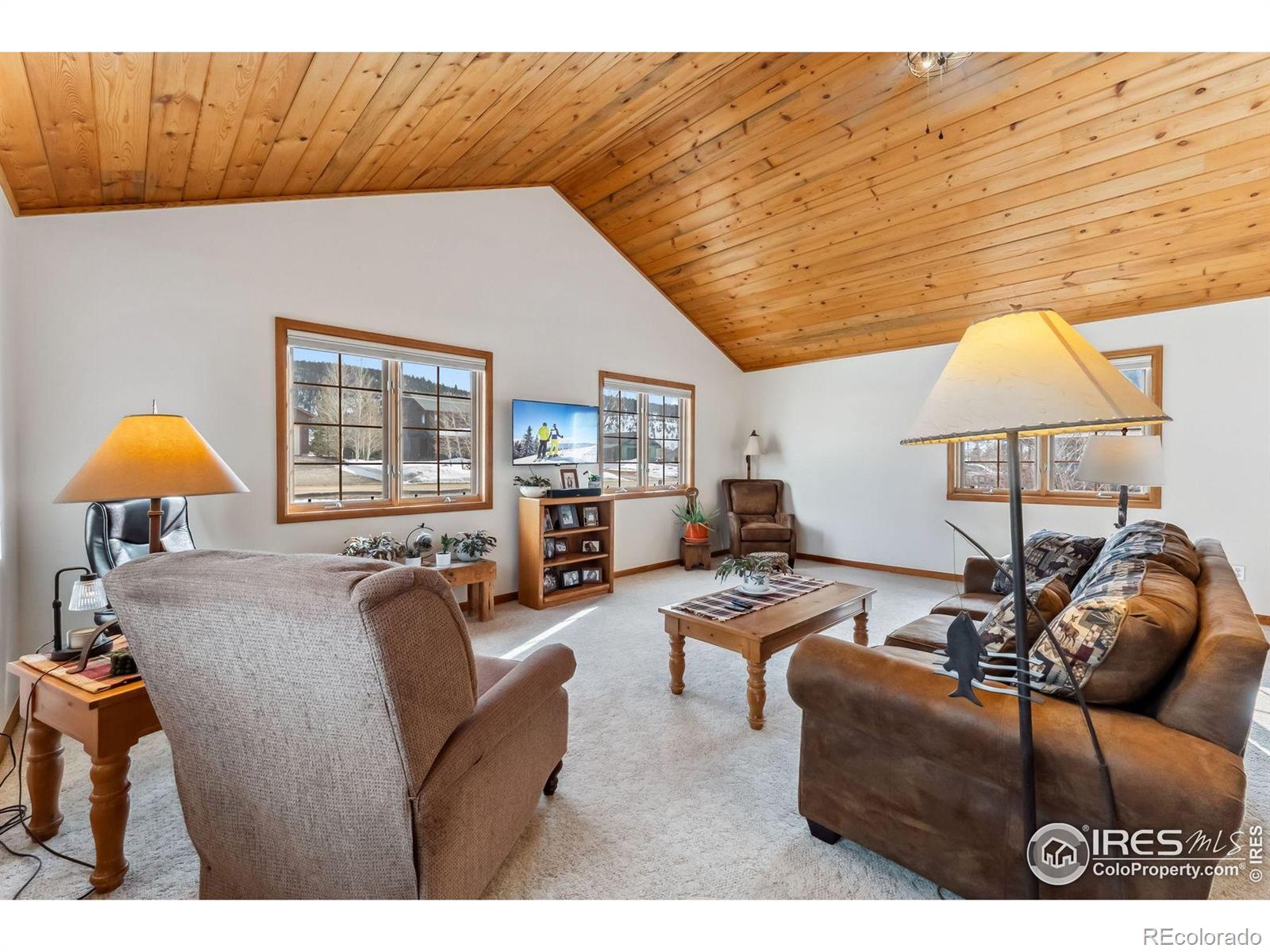 MLS Image #13 for 353 e byers avenue,hot sulphur springs, Colorado