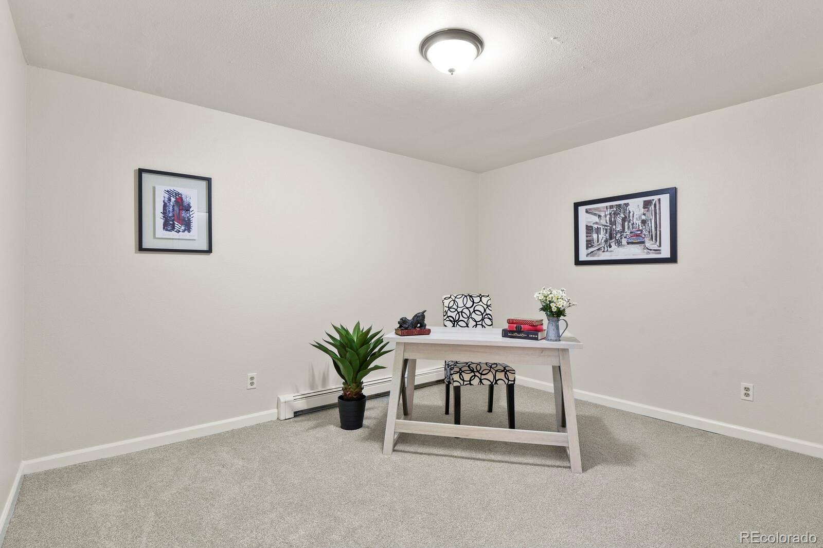 MLS Image #20 for 30221  stagecoach boulevard,evergreen, Colorado