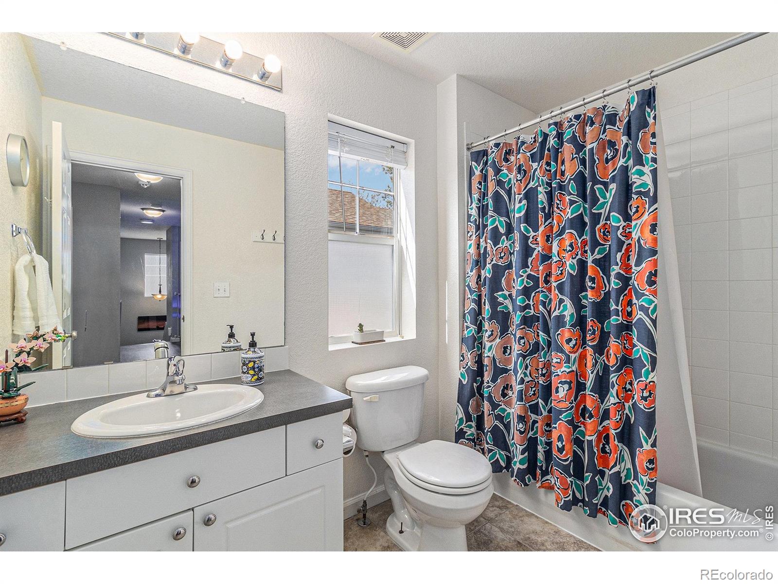 MLS Image #20 for 4005  frederick circle,longmont, Colorado
