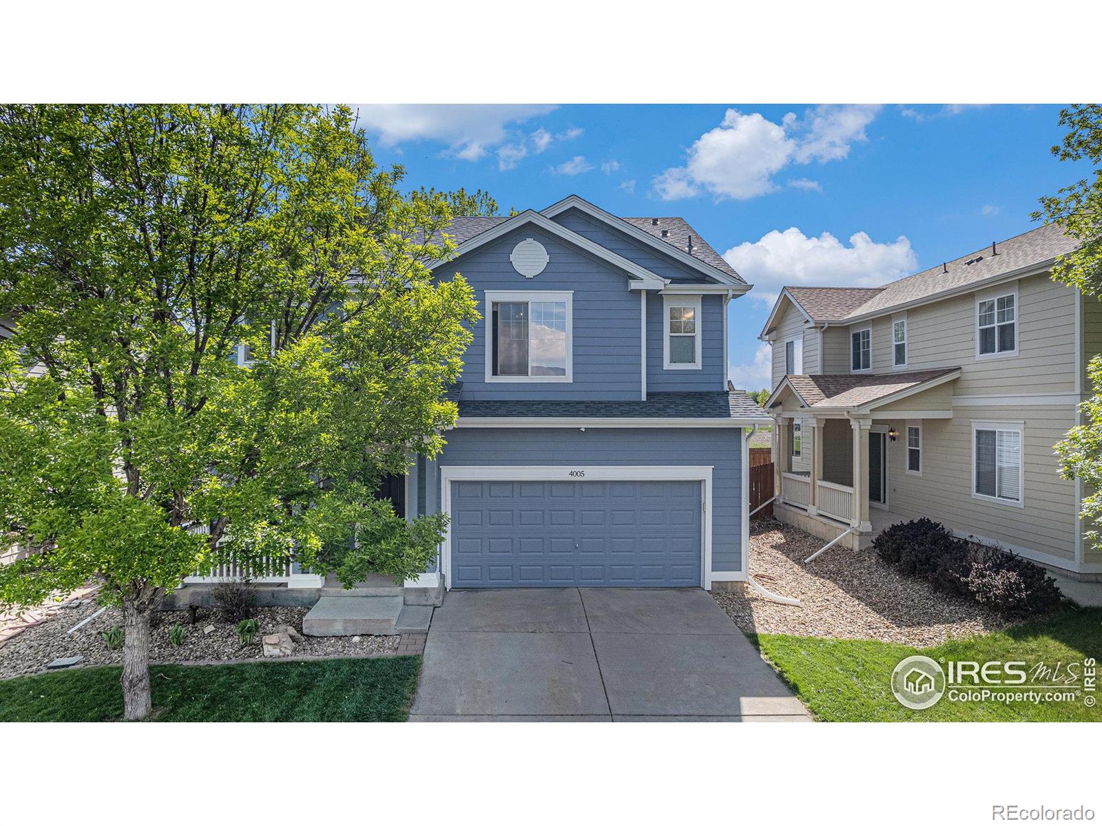 MLS Image #3 for 4005  frederick circle,longmont, Colorado