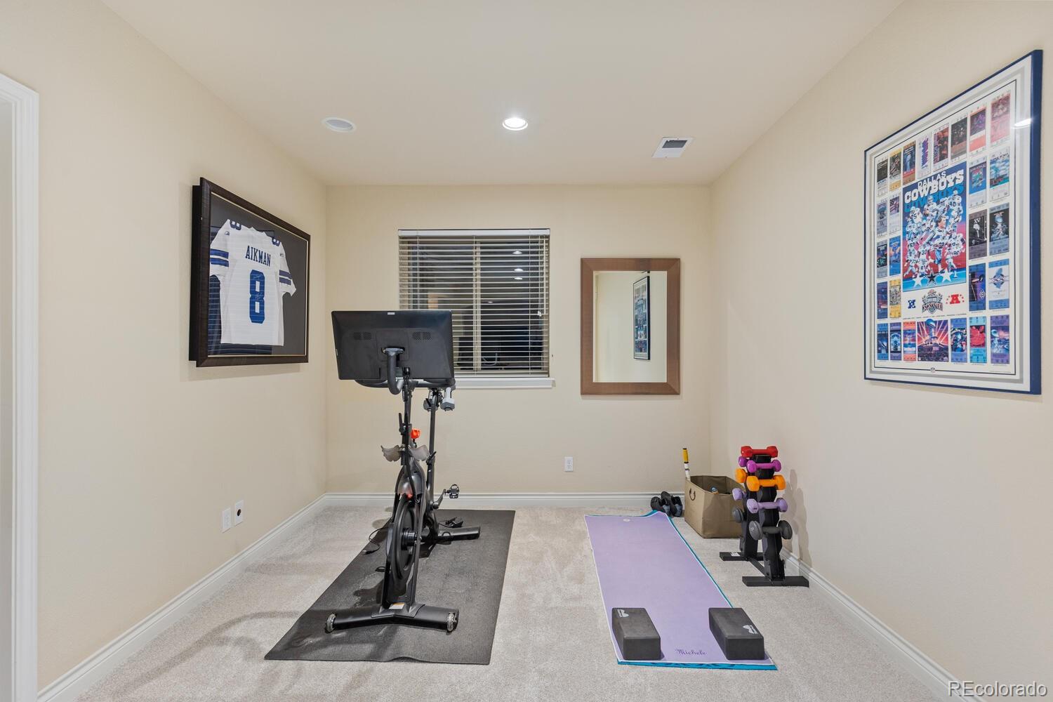 MLS Image #21 for 6874  raspberry run,littleton, Colorado