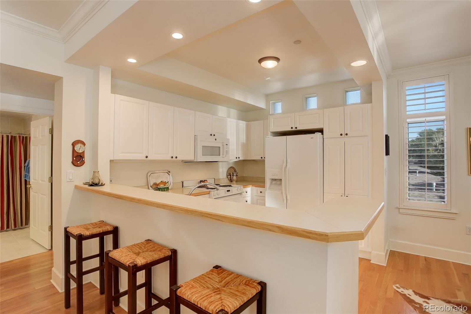 MLS Image #8 for 300  hudson street,denver, Colorado