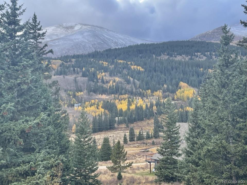 MLS Image #11 for 201  nuthatch drive ,alma, Colorado