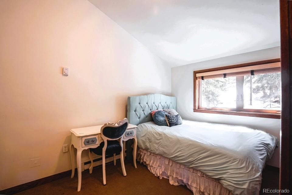 MLS Image #18 for 201  nuthatch drive ,alma, Colorado