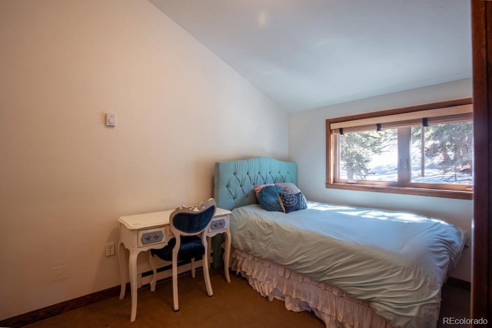 MLS Image #19 for 201  nuthatch drive ,alma, Colorado