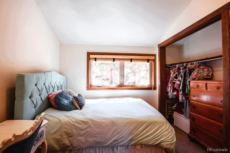 MLS Image #24 for 201  nuthatch drive ,alma, Colorado