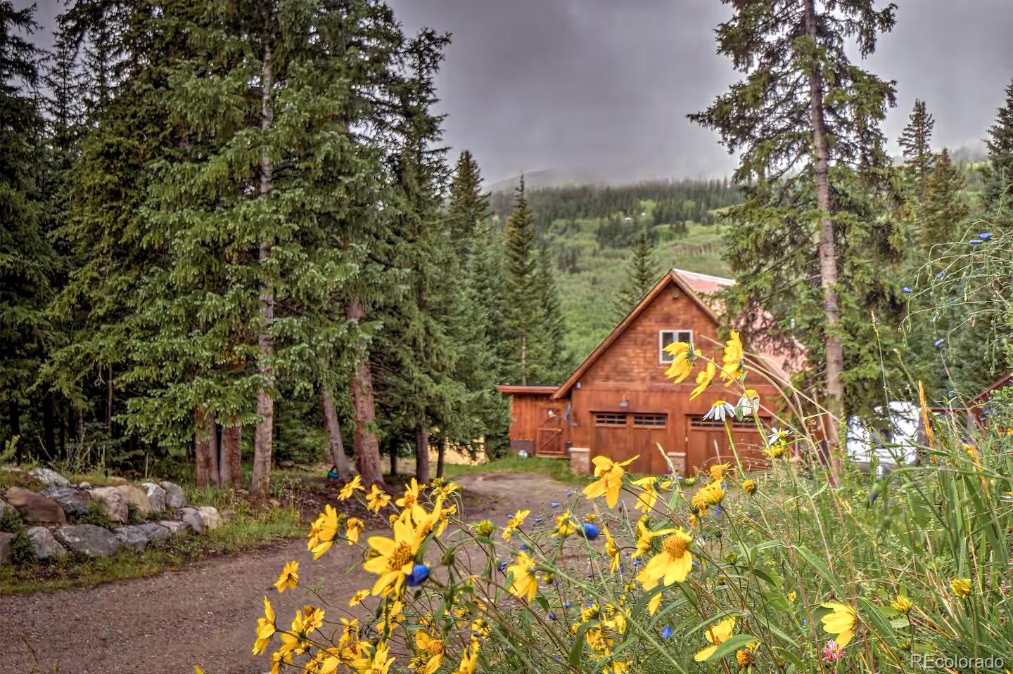 MLS Image #38 for 201  nuthatch drive ,alma, Colorado