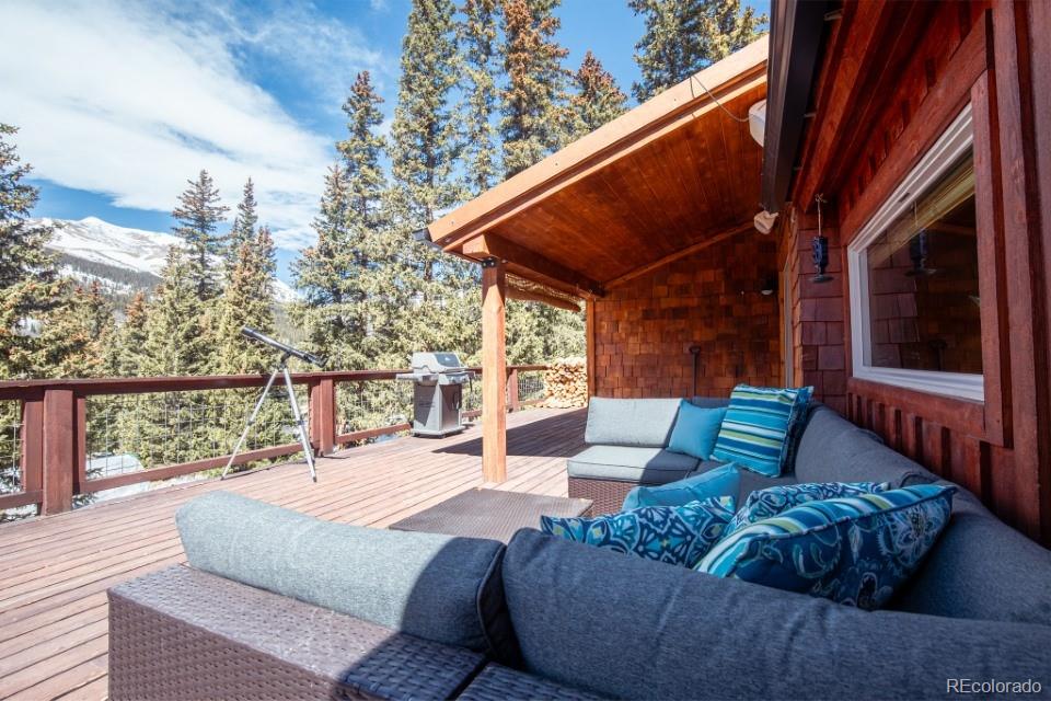 MLS Image #8 for 201  nuthatch drive ,alma, Colorado