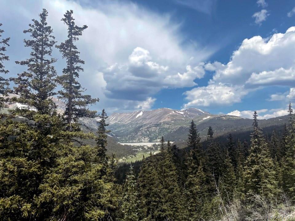 MLS Image #9 for 201  nuthatch drive ,alma, Colorado