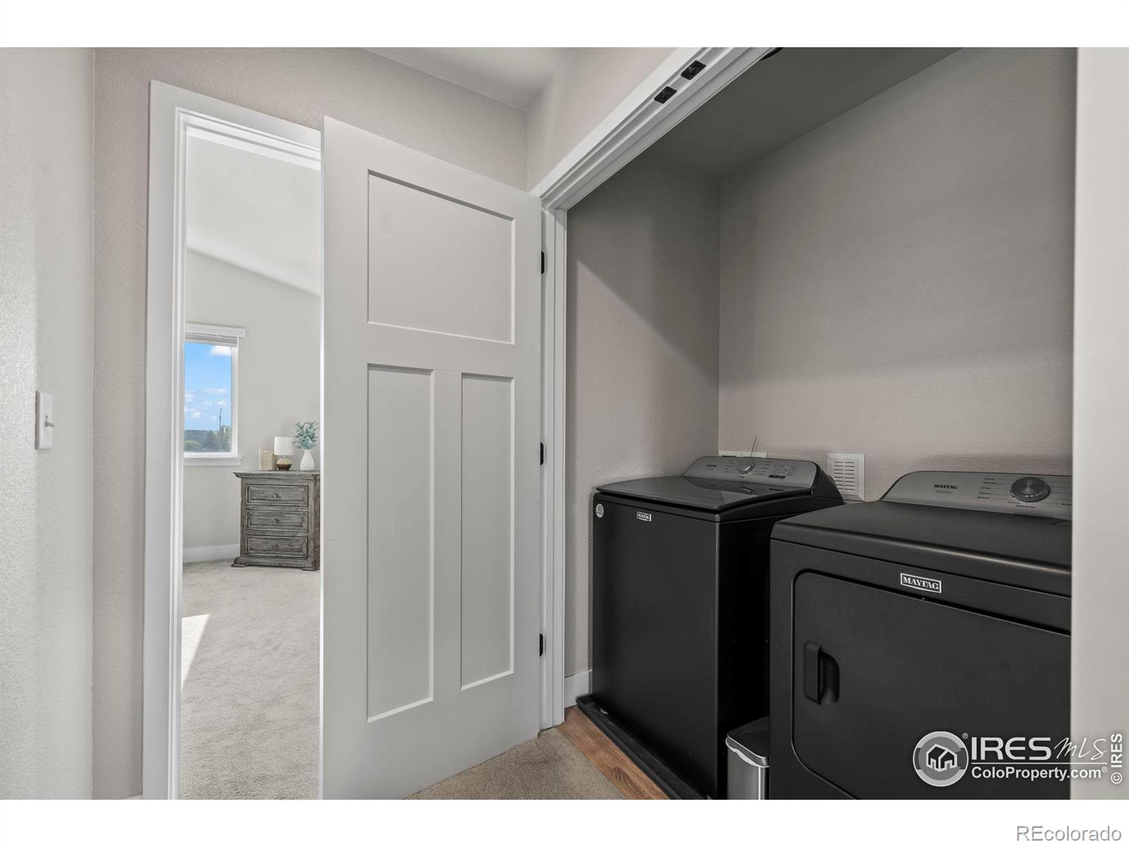 MLS Image #19 for 597  red jewel drive,windsor, Colorado