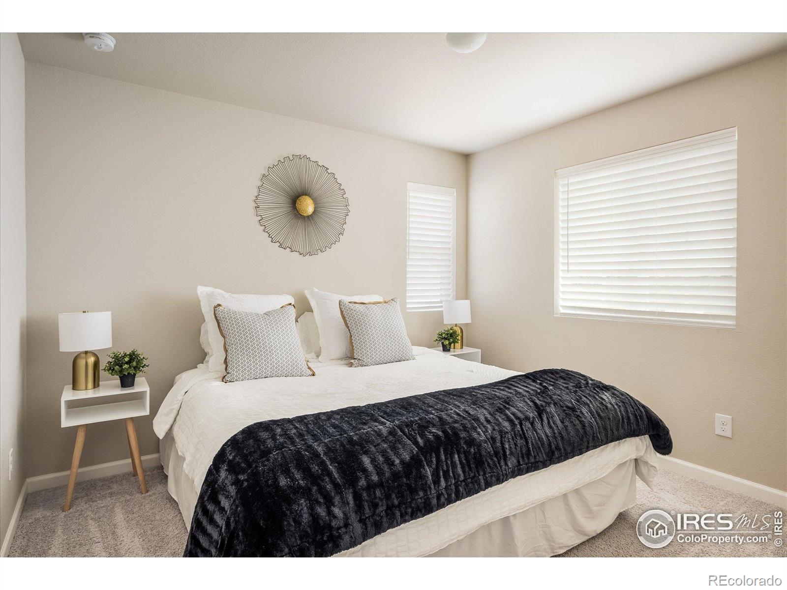 MLS Image #18 for 360  marlowe court,erie, Colorado