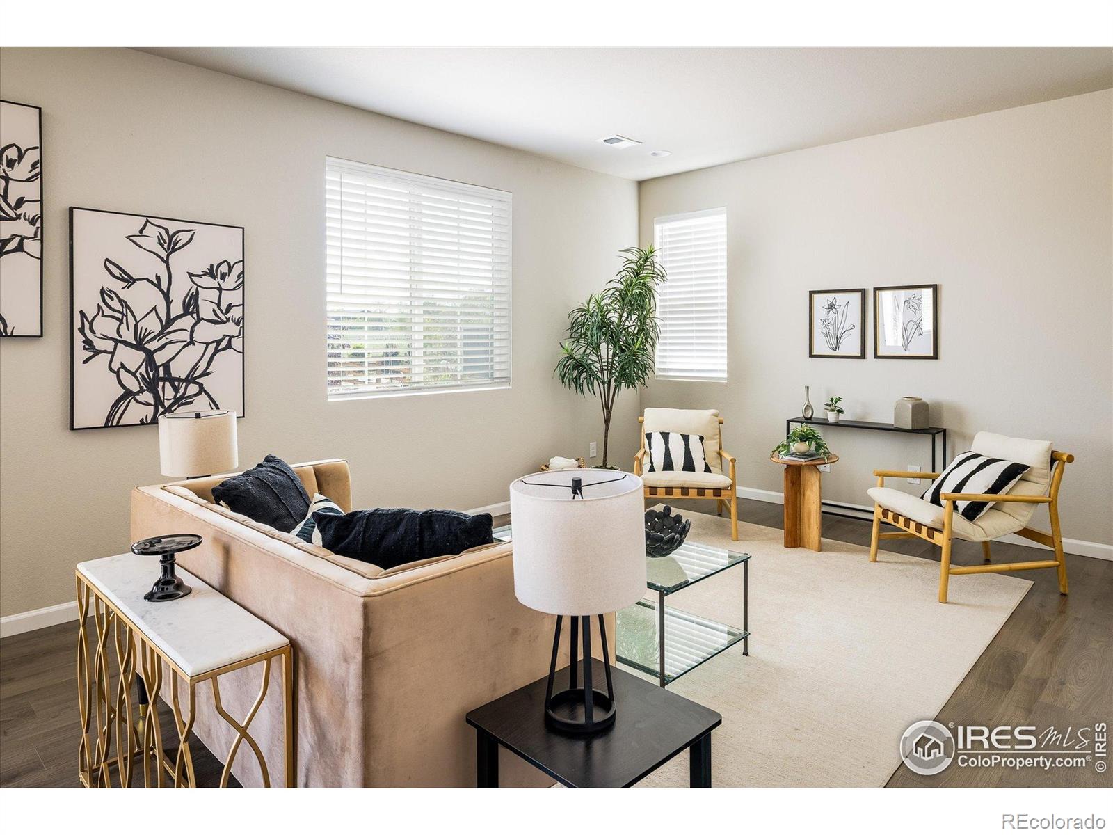 MLS Image #4 for 360  marlowe court,erie, Colorado